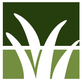 Lexington Lawn Clean Up