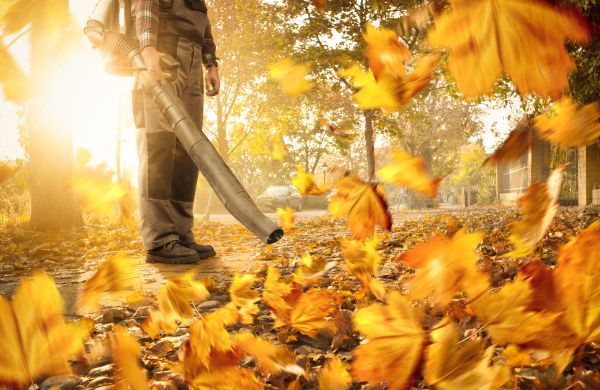 Leaf Blowing Service in Lexington