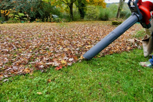 Leaf Vacuuming Service in Lexington