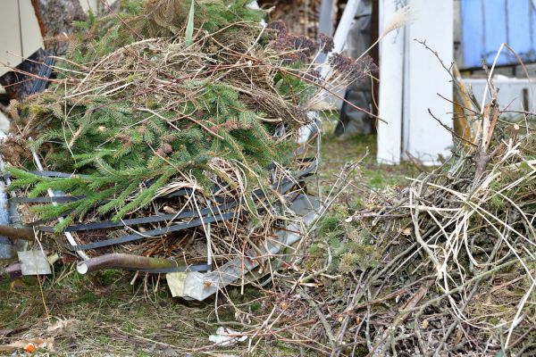 Yard Debris Removal in Lexington