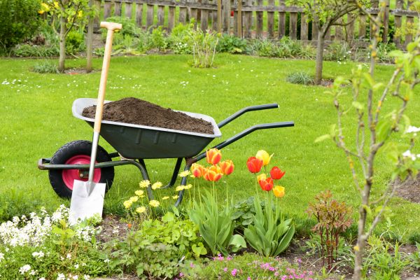 Cost of Spring Yard Cleanup in Lexington