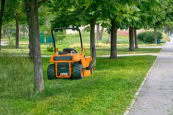 Landscaping Cleanup Service in Lexington