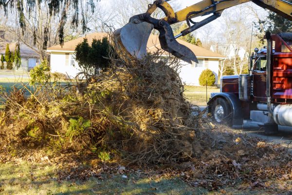 Storm Debris Removal in Lexington