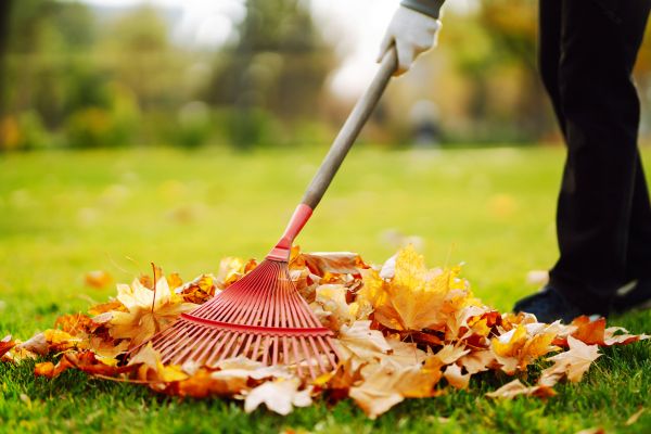 Cost of Ditch Leaf Removal in Lexington