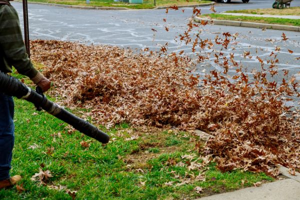 Cost of Garden Leaf Removal in Lexington