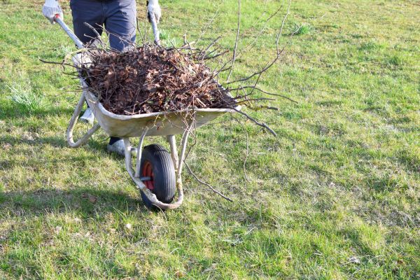 Yard Brush Removal in Lexington