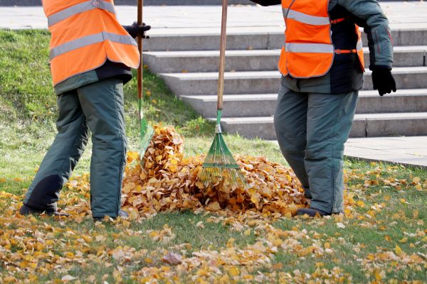 Cost of Leaf Hauling Service in Lexington