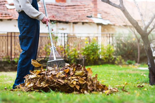 Spring Lawn Cleanup in Lexington