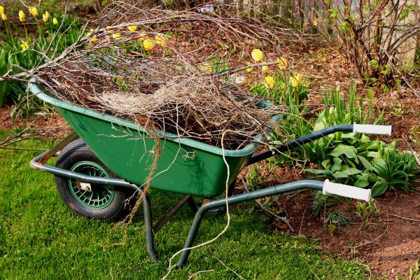 Lawn Waste Removal in Lexington