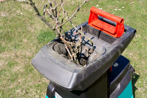 Brush Cleanup Service in Lexington