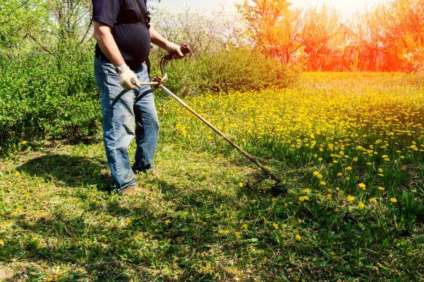 Yard Clearing Service in Lexington