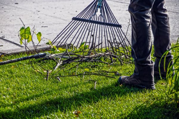 Yard Debris Cleanup in Lexington