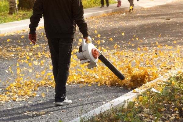Commercial Leaf Removal in Lexington