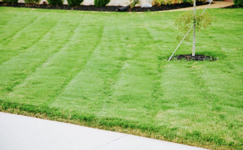 Completed Lawn Restoration
